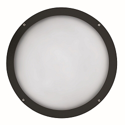 Luminaire mural d’extérieur IP65, noir 