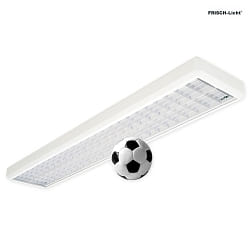 grid luminaire DALI controllable, ball proof IP40, white dimmable