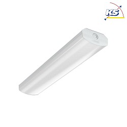 Luminaire pour locaux humides AWL137850A.3884 commutable, convexe IP40, blanche 