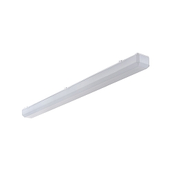Luminaire pour locaux humides AWL147150A.6383 langue, commutable IP50, blanche 