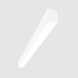 Barre lumineuse MICROPAL�, UGR<19 / 1127MM / 830 version pour montage en surface, contr�lable par DALI, direct IP40, blanche 