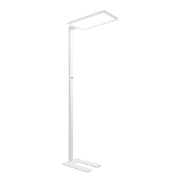 Lampadaire STL2063MP.10084DAW haut bas, avec capteur, UGR < 19, avec variateur tactile IP20, blanc trafic gradable