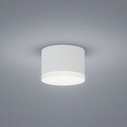 Luminaire de plafond PALA IP30, satin�, blanc mat gradable