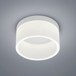 Luminaire de salle de bain LIV 20 forme de l'anneau IP30, blanc mat gradable