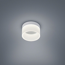 Luminaire de salle de bain LIV 15 forme de l'anneau IP30, blanc mat gradable
