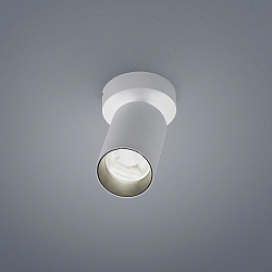 Luminaire de plafond RIWA IP20, blanc mat gradable