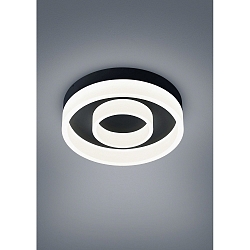 Luminaire de plafond LIV 2 voies, forme de l'anneau IP30, noir mat gradable