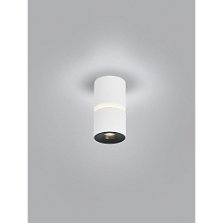 Luminaire de plafond ROK � 1 flamme, direct / indirect, focalisable IP20, blanc mat gradable