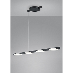 Luminaire à suspension POLE 4 flammes IP20, satiné, noir mat, anodisé gradable