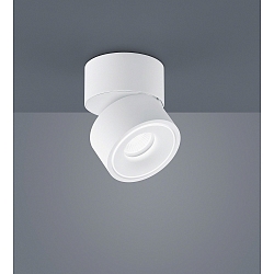 Luminaire de plafond NAKA 15W à 1 flamme, réglable IP20, blanc mat gradable