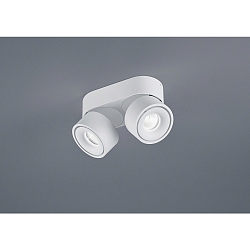Luminaire de plafond NAKA 30W à 2 flammes, réglable IP20, blanc mat gradable