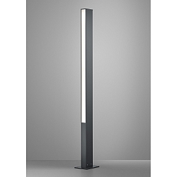 Borne d'éclairage TENDO à 2 flammes, rayonnement latéral IP55, aluminium, graphite, satiné 