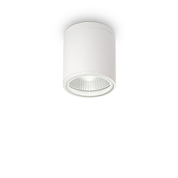 Plafonnier extérieur GUN PL1 cylindrique, version pour montage en surface GU10 IP44, blanche gradable
