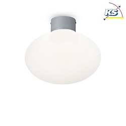Outdoor ceiling luminaire CLIO, IP44, E27, without cover, aluminium, grey