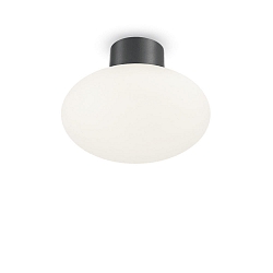 Plafonnier ext�rieur CLIO sans abat-jour E27 IP44, anthrazit