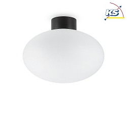 Outdoor ceiling luminaire CLIO, IP44, E27, without cover, aluminium, black