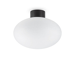 Plafonnier ext�rieur CLIO sans abat-jour E27 IP44, noir 