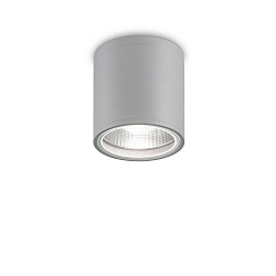 Plafonnier extérieur GUN PL1 cylindrique, version pour montage en surface GU10 IP44, gris gradable