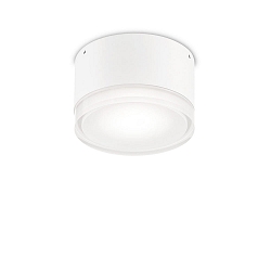 Luminaire mural d’extérieur URANO SMALL GX53 IP44, satiné, blanc mat