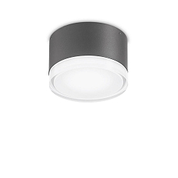 Outdoor wall / ceiling luminaire URANO SMALL, Ø 12cm, GX53 max. 15W, aluminium / acrylic, matt anthracite