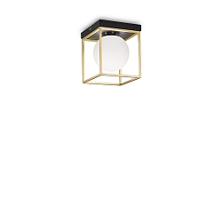 Luminaire de plafond LINGOTTO PL1 à 1 flamme E14 IP20, noir mat, laiton satiné gradable