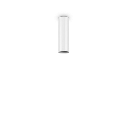 Luminaire de plafond LOOK PL1 H20 cylindrique, on/off GU10 IP20, blanc mat 