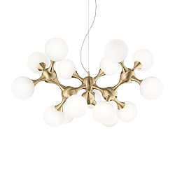 Luminaire à suspension NODI 15 flammes E14 IP20, laiton brossé, blanche