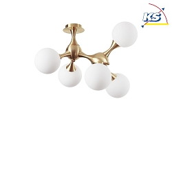 Ceiling luminaire NODI, 5 flames, E14, connector rotatable, brushed brass / white