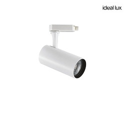 Projecteur triphas FOX SMALL rglable IP20, blanche 