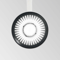 LED 3-phase Track spot FOX BIG, 25W 3000K 2500lm 35�, white