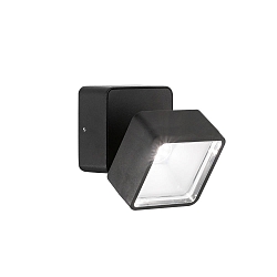 Luminaire mural d�ext�rieur OMEGA carr� IP54, noir 