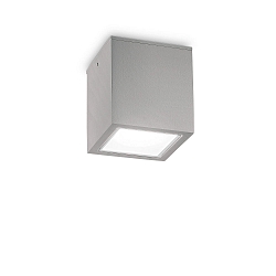 Plafonnier extérieur TECHO BIG GU10 IP54, gris gradable