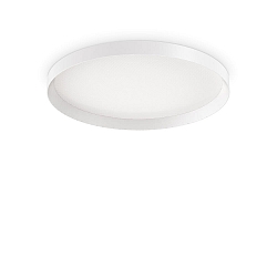 Luminaire de plafond FLY PL D60 IP40