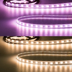 Bande LED AQUA RGB+WW Flexband