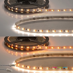 Bande LED CRI919/940 MiniAMP Flexband