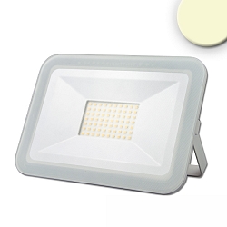 Projecteur PAD 50W grand, pivotant, commutable IP65, blanche 