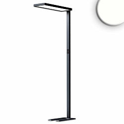 Lampadaire OFFICE PRO UGR < 19 IP40, noir  gradable