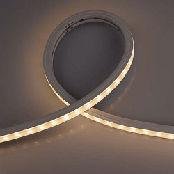 fully siliconised LED strip TM1934 WALLWASHER SPI FLEXBAND 6LED/IC white