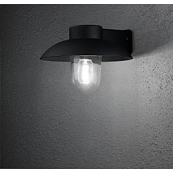 Luminaire mural d'ext�rieur MANI E27 IP44, noir , transparent