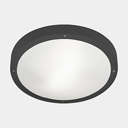 Applique et plafonnier BASIC E27 IP66