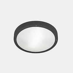 Applique et plafonnier BASIC LED IP66