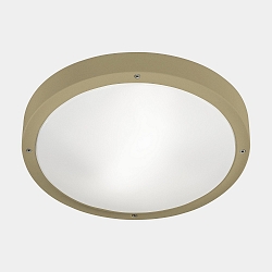 Applique et plafonnier BASIC LED IP66