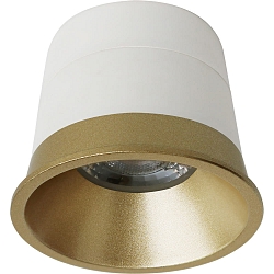 Module LED KOIN FLEX lot de 1, avec anneau décoratif 4,9W 460lm 3000K 38° gradable