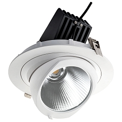 Downlight SHOP LIGHT 190 pivotant, dimmable IP40, blanche gradable