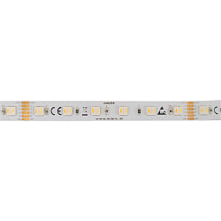 LED Strip 5050 RGB+WW/CW SMD - 5M / 12MM RGBW white