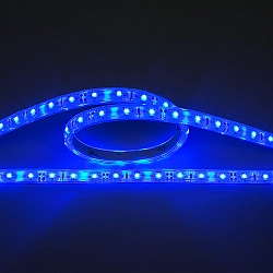 Bande LED LED SMD 3528 IP67, gradable