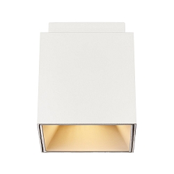 Luminaire de plafond ETHAN à 1 flamme GU10 IP20, blanc mat 