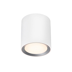 Luminaire de salle de bain LANDON LONG IP44, blanche gradable