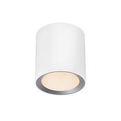 Luminaire de plafond LANDON LONG SMART Contr�le des apps IP44, blanche gradable