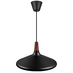 Luminaire à suspension NORI 39 E27 IP20, noir gradable